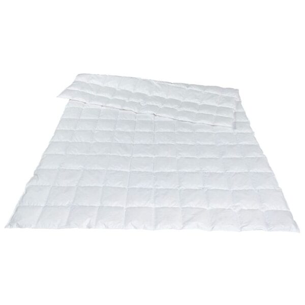 Traumina Plume Bio Daune WK 1 (Sommer) - Betten Giesberts Geldern
